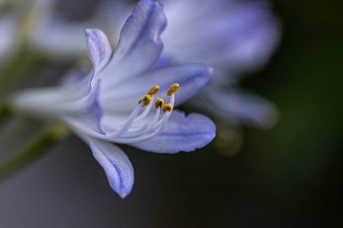 Blog post cover image