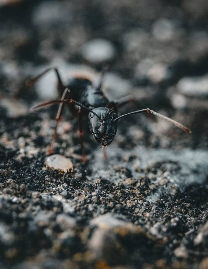 Blog post cover image