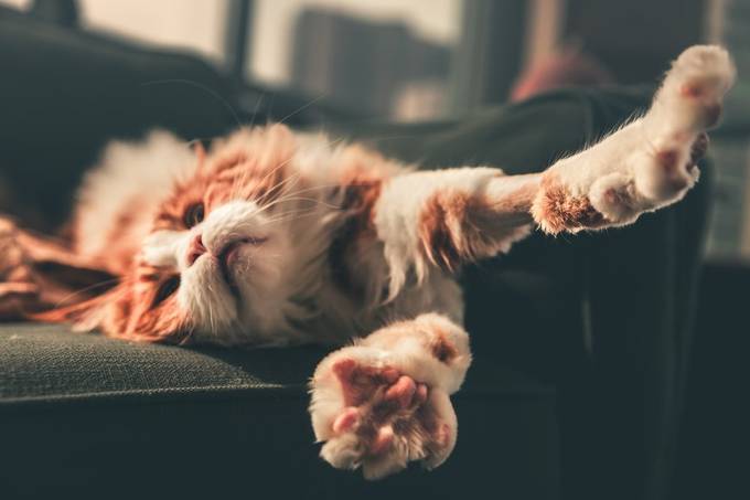 Blog post cover image