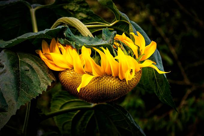 Blog post cover image