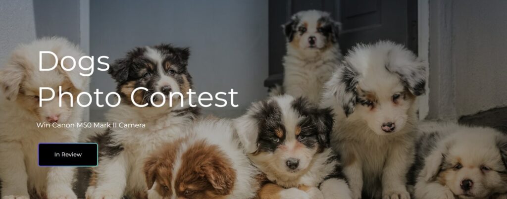 Photo contest gallery