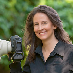 VIEWBUG Judge avatar